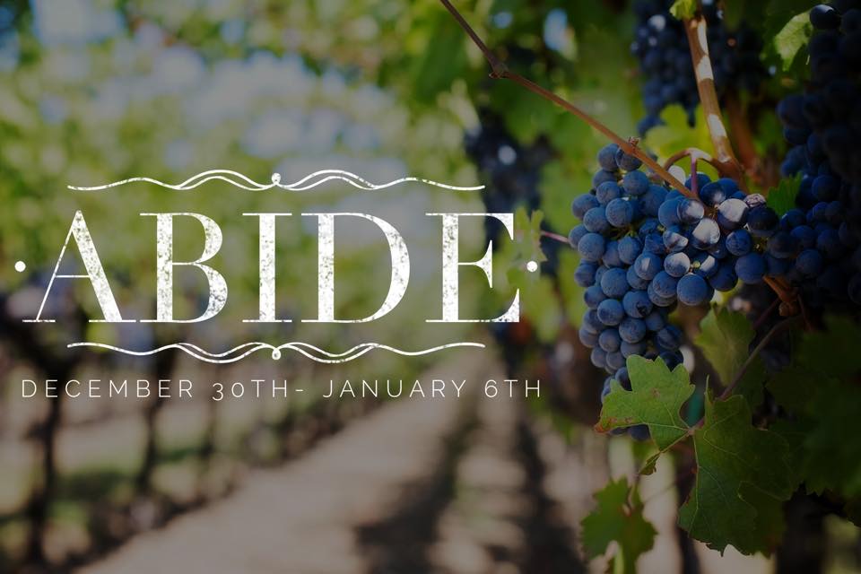 Abide/ Week 3/ John 15:1-8